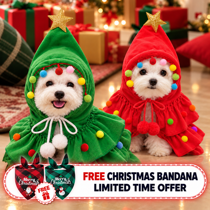 Christmas tree pet costume with star hood in green and red on two small dogs